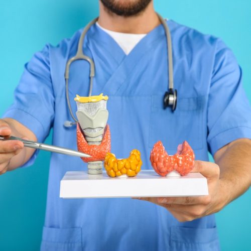 quando-procurar-endocrinologista-em-natal-salutis-clinic